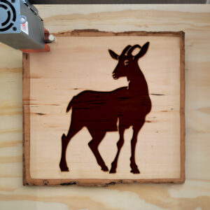 40833_wood-laser-1.jpg