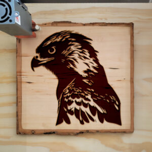 40843_wood-laser-1.jpg