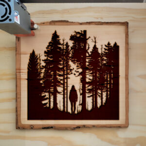 40865_wood-laser-1.jpg