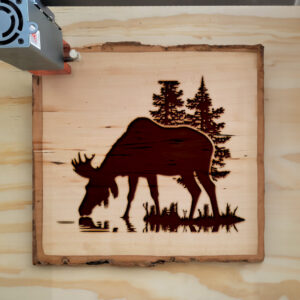 40877_wood-laser-1.jpg
