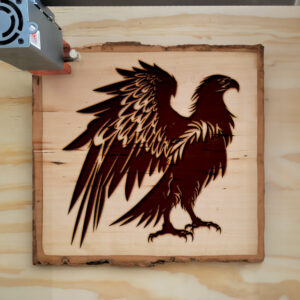 40883_wood-laser-1.jpg