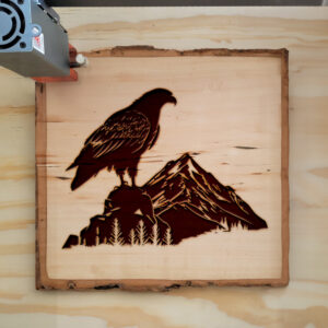 40891_wood-laser-1.jpg