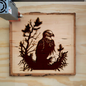 40923_wood-laser-1.jpg