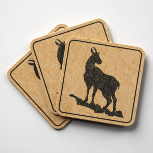 40925_coaster-1.jpg