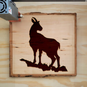 40925_wood-laser-1.jpg