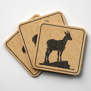 40927_coaster-1.jpg