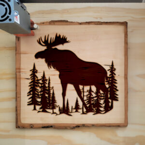 40943_wood-laser-1.jpg