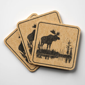 40955_coaster-1.jpg