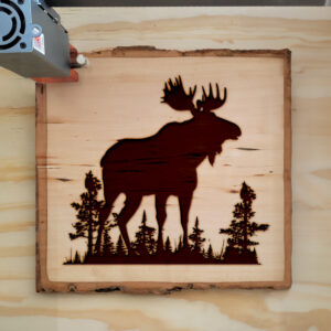 40987_wood-laser-1.jpg