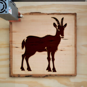 40991_wood-laser-1.jpg