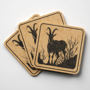 40993_coaster-1.jpg
