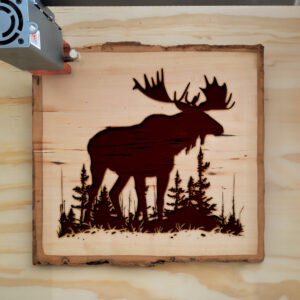 41019_wood-laser-1.jpg