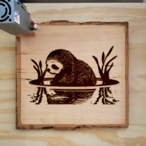 41029_wood-laser-1.jpg