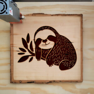 41041_wood-laser-1.jpg