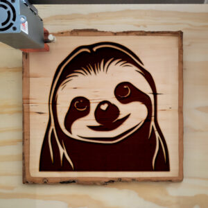 41045_wood-laser-1.jpg