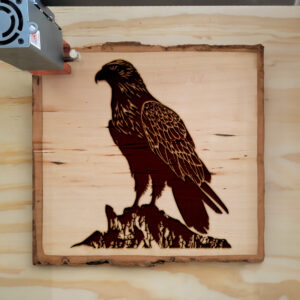 41061_wood-laser-1.jpg