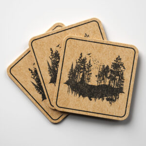 41081_coaster-1.jpg