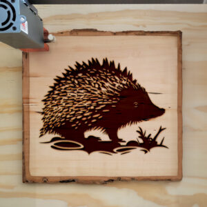 41089_wood-laser-1.jpg