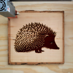 41093_wood-laser-1.jpg