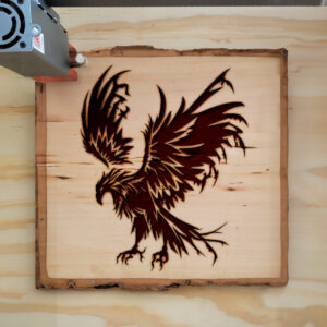 41103_wood-laser-1.jpg