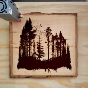 41117_wood-laser-1.jpg
