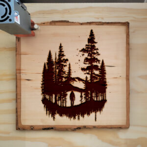 41136_wood-laser-1.jpg