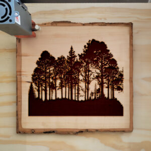 41144_wood-laser-1.jpg