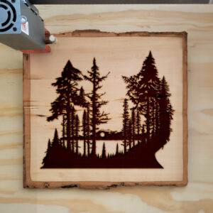 41152_wood-laser-1.jpg