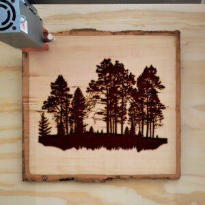 41156_wood-laser-1.jpg