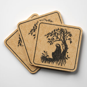 41168_coaster-1.jpg
