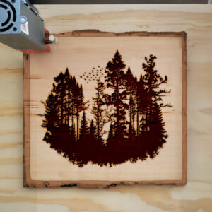 41178_wood-laser-1.jpg