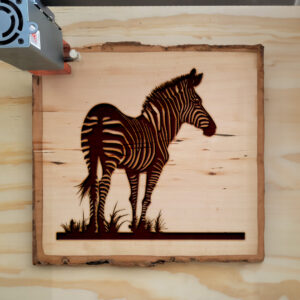 41204_wood-laser-1.jpg