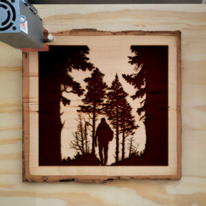 41206_wood-laser-1.jpg