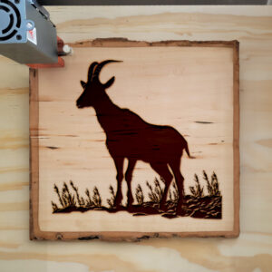 41214_wood-laser-1.jpg