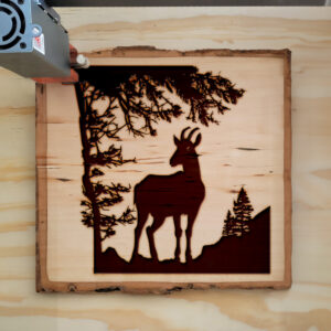 41230_wood-laser-1.jpg