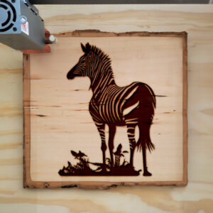 41234_wood-laser-1.jpg