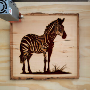41238_wood-laser-1.jpg