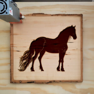 41274_wood-laser-1.jpg