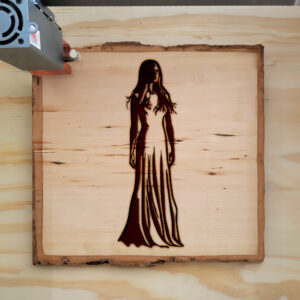 41280_wood-laser-1.jpg