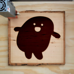41294_wood-laser-1.jpg