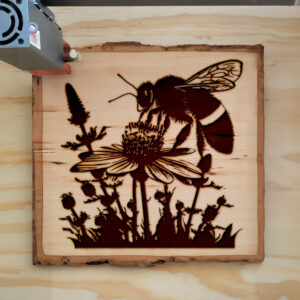 41302_wood-laser-1.jpg