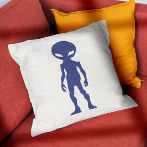 41352_pillow-3.jpg