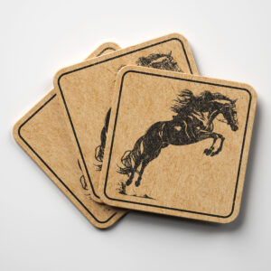 41376_coaster-1.jpg
