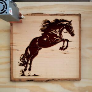 41376_wood-laser-1.jpg