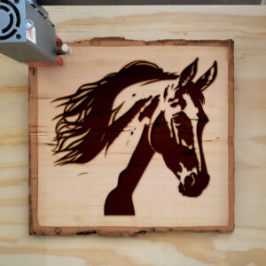 41394_wood-laser-1.jpg