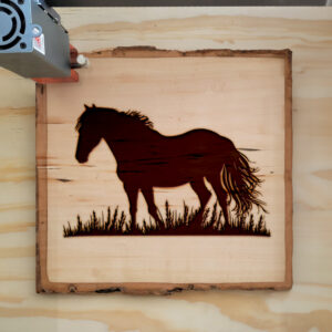 41414_wood-laser-1.jpg