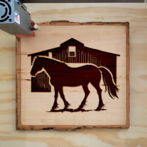 41428_wood-laser-1.jpg