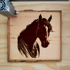41440_wood-laser-1.jpg