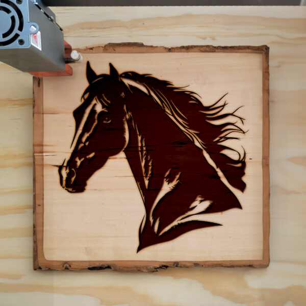 41446_wood-laser-1.jpg