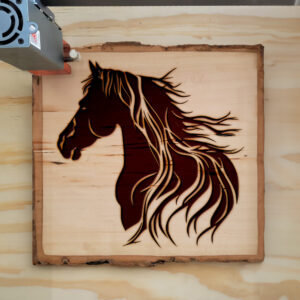 41480_wood-laser-1.jpg